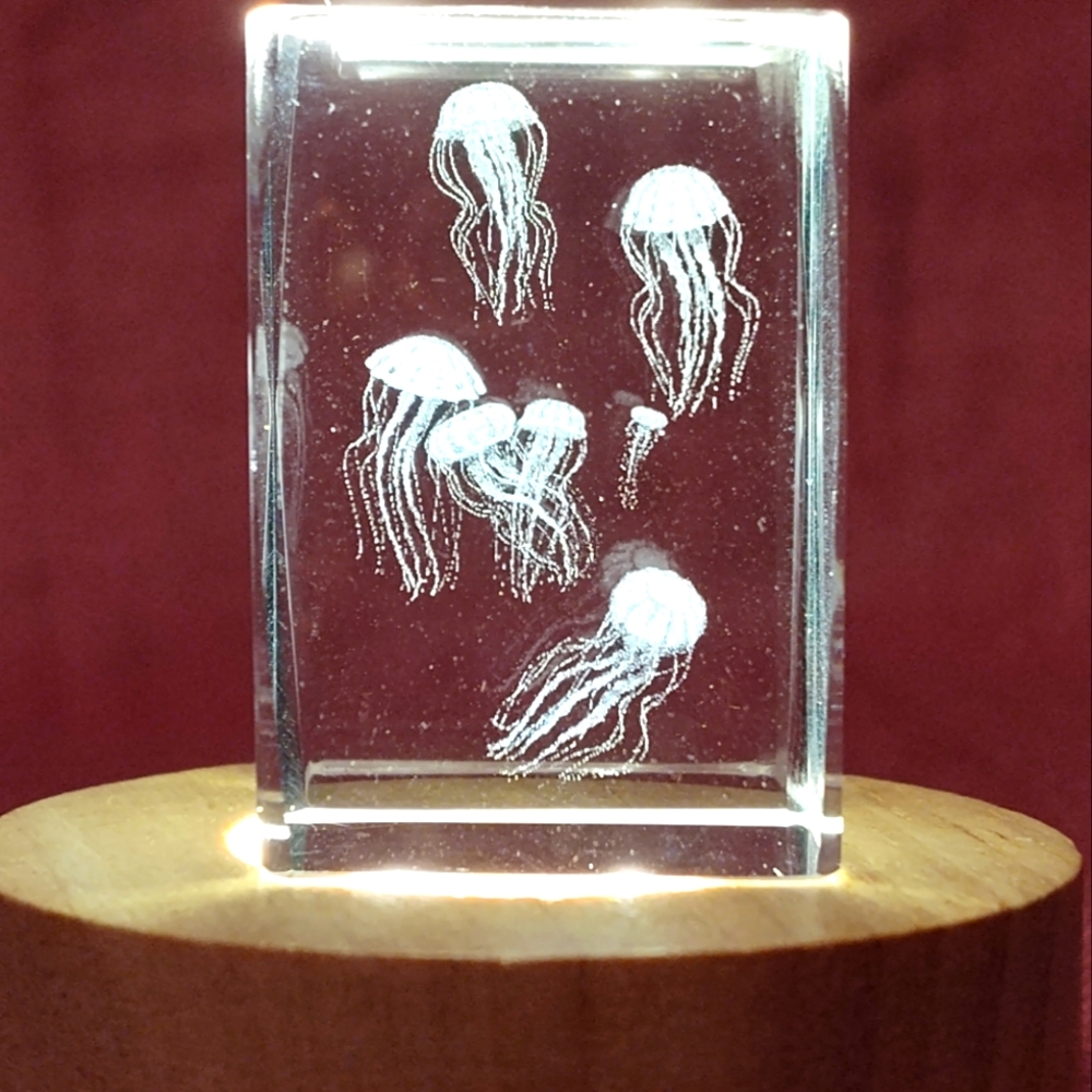 Jelly Fish USB Light